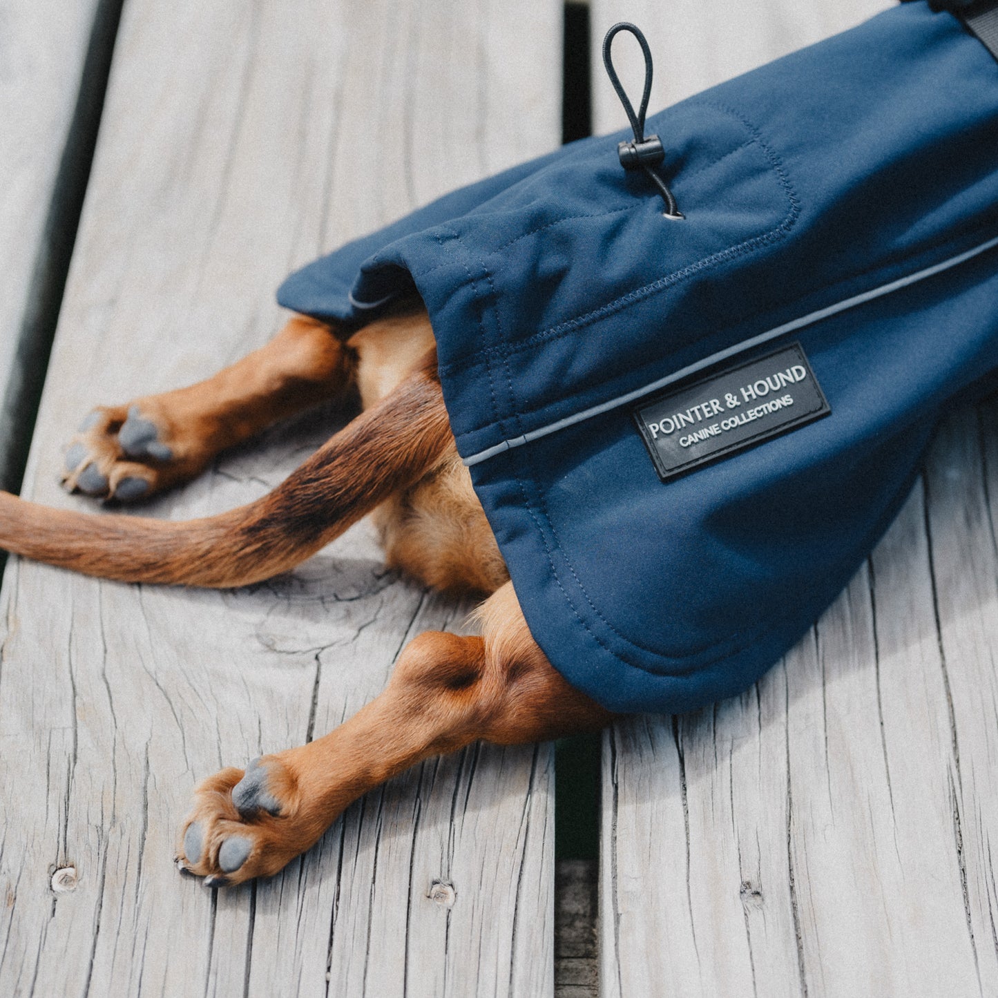 Waterproof Jacket - Navy