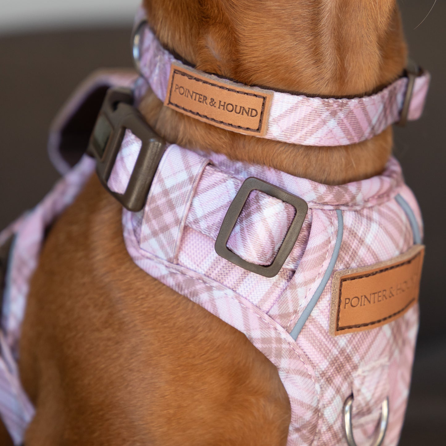 Signature Harness - Pink Tartan