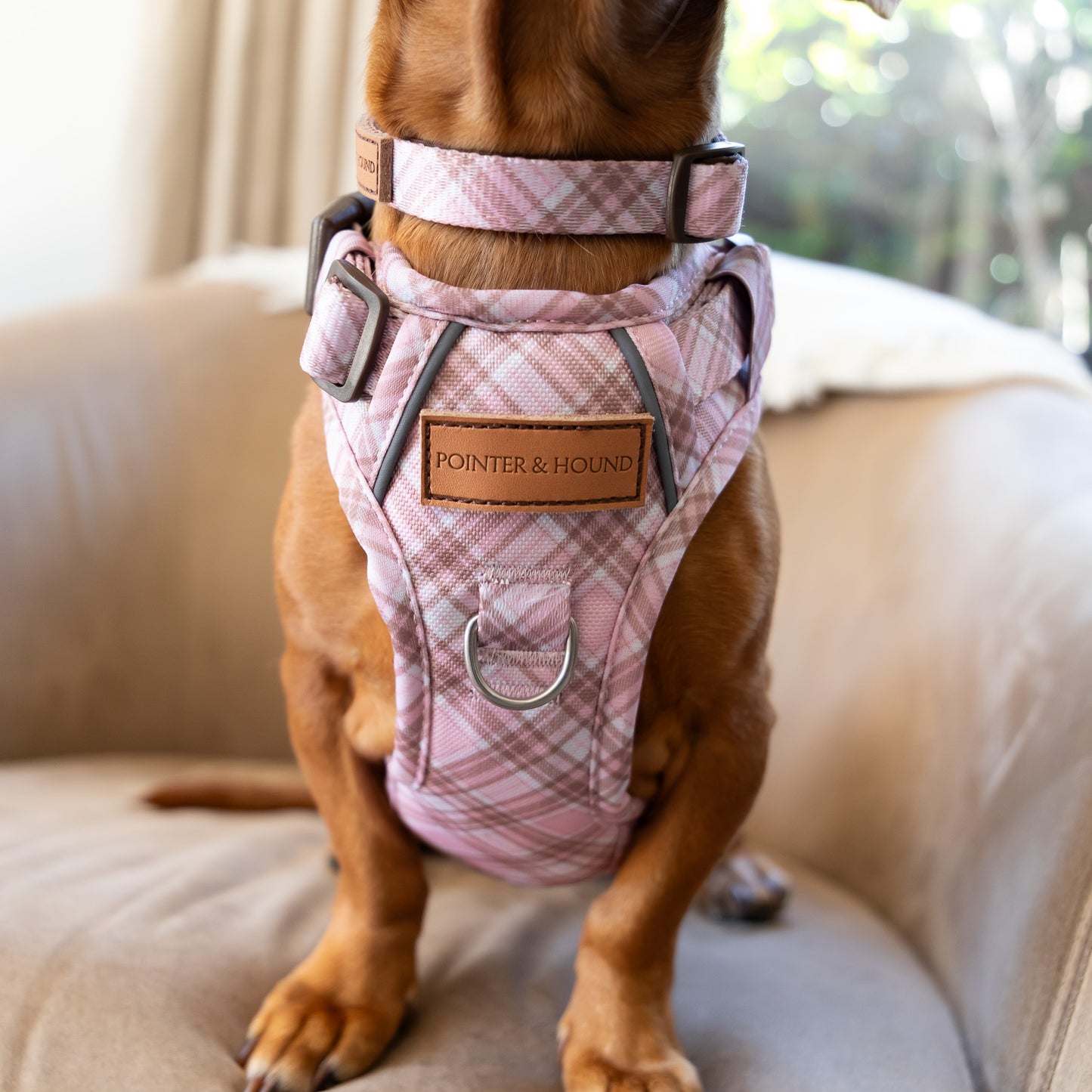 Signature Harness - Pink Tartan