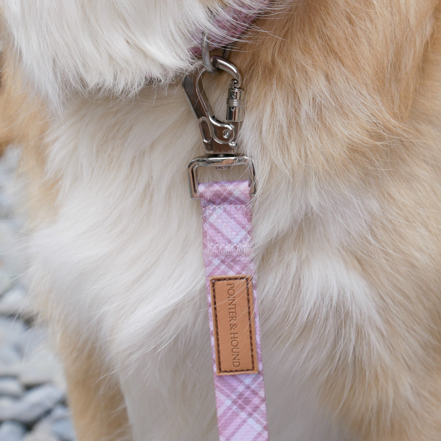 Pink Tartan Leash
