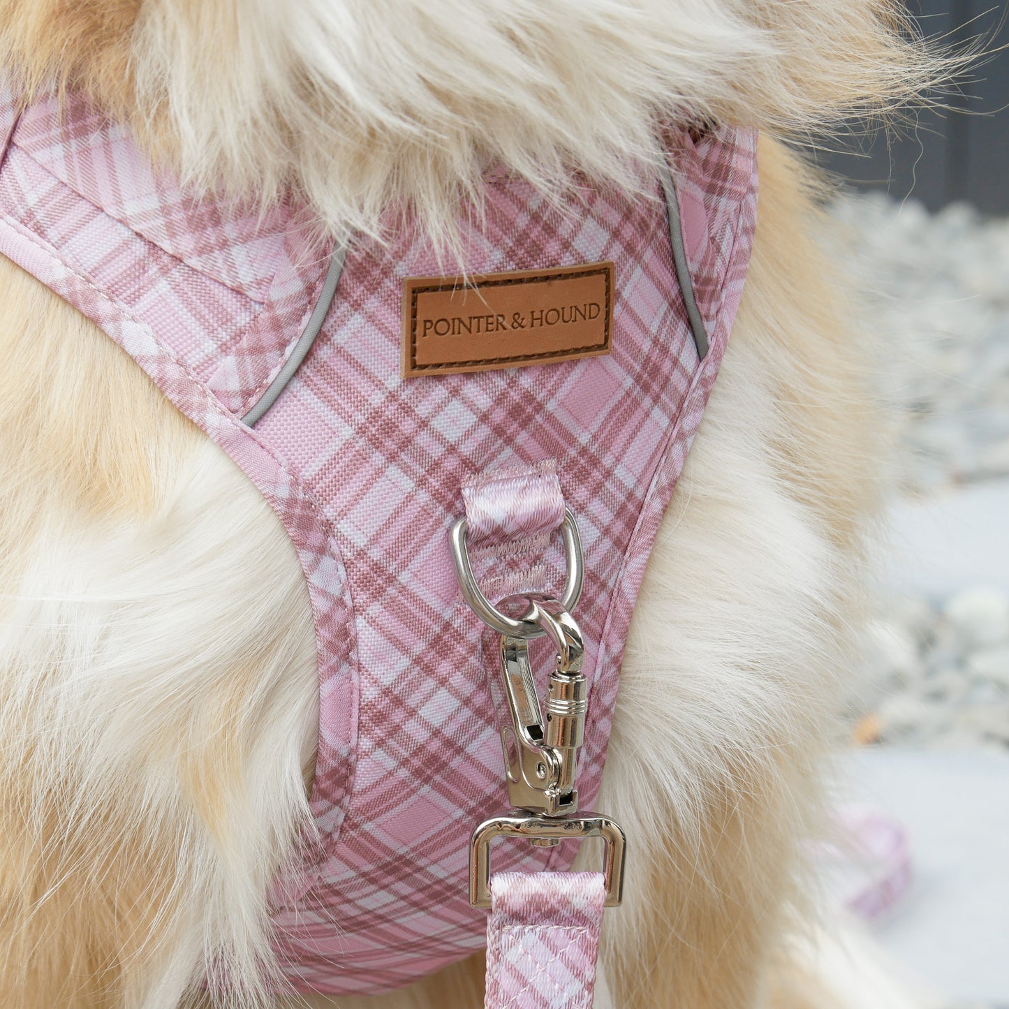 Signature Harness - Pink Tartan