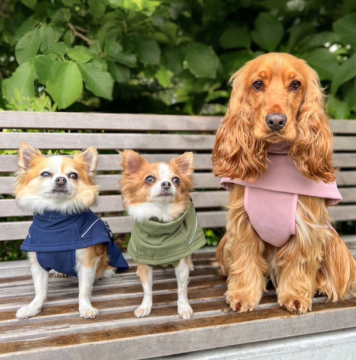 Waterproof Jacket - Pink