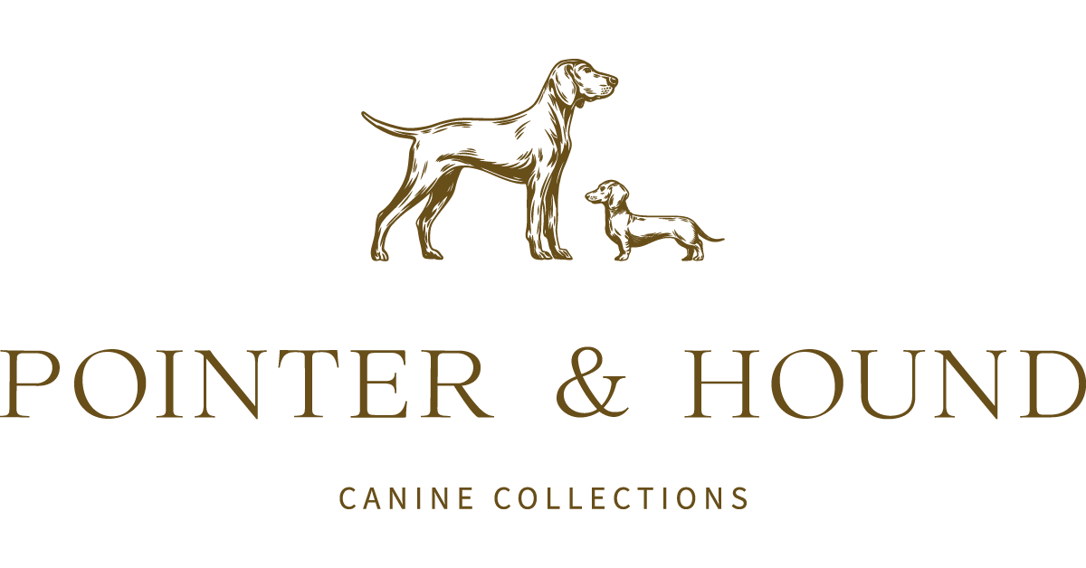 Hound shop top