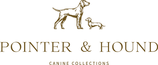 Pointer & Hound