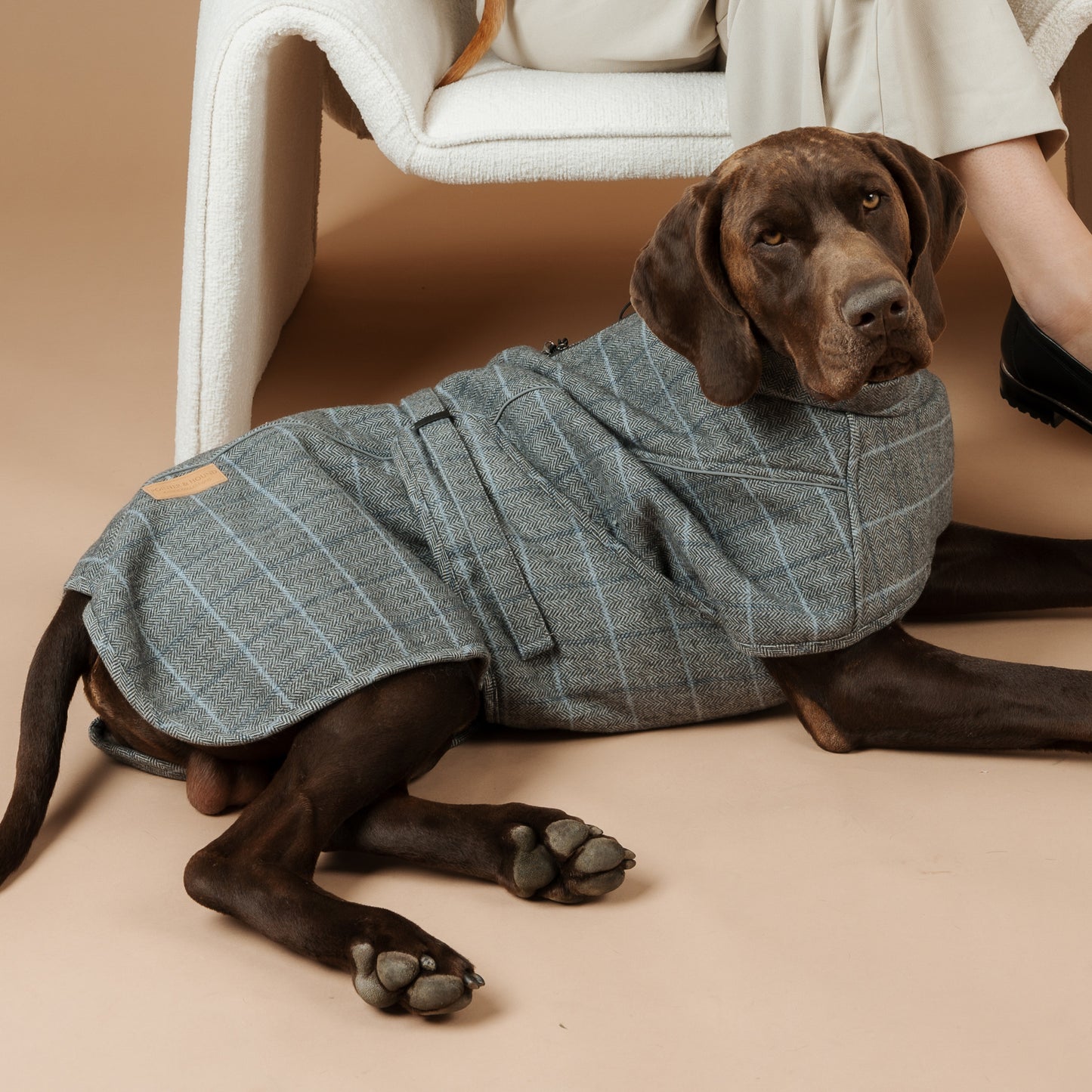 Highland Coat - Grey