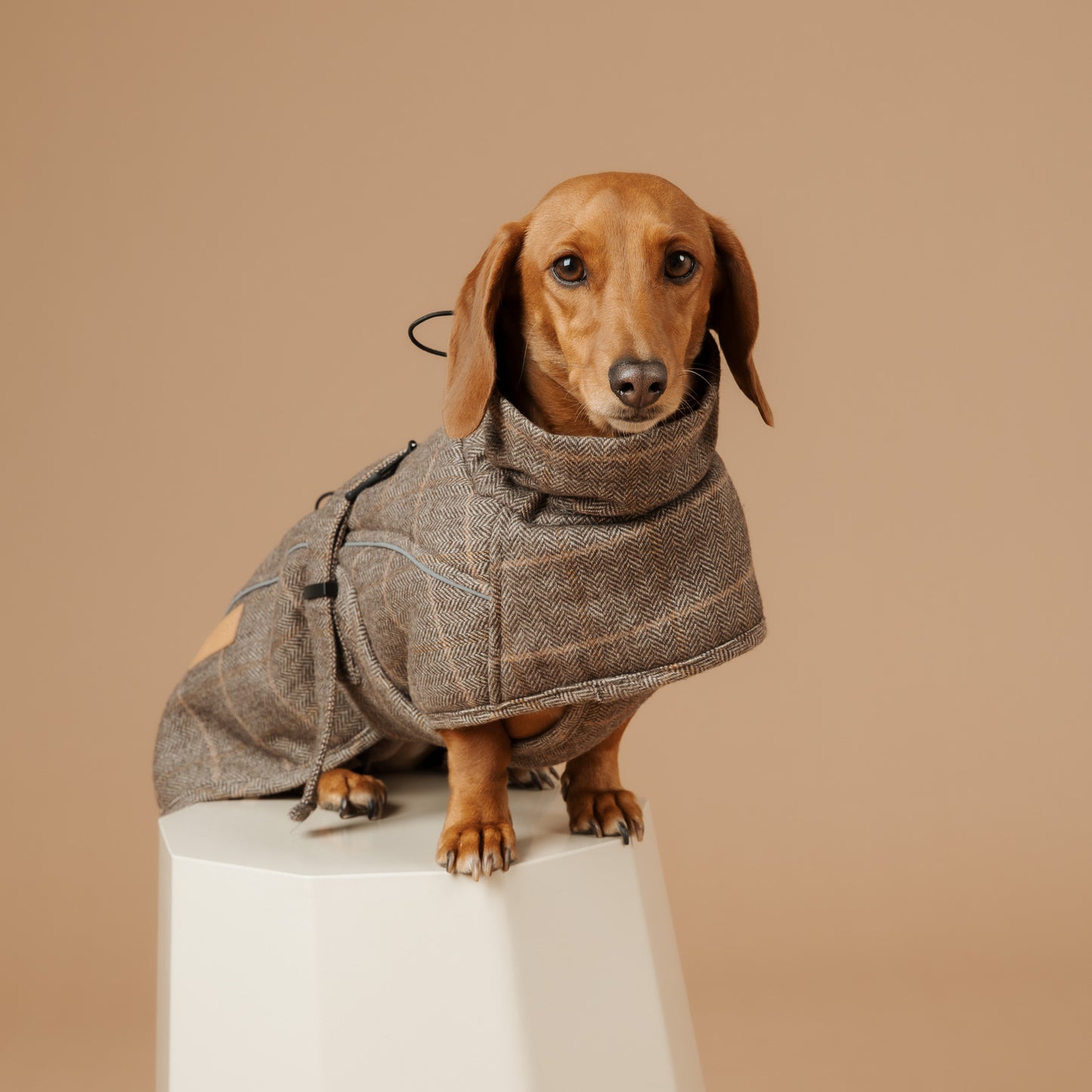 Wool-Blend Coat