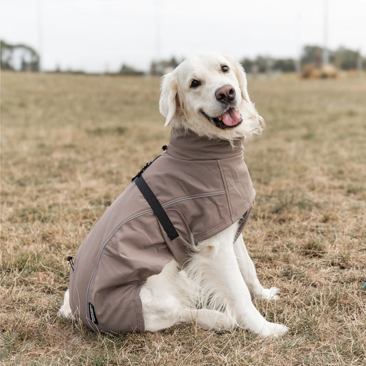 Waterproof Jacket - Mushroom