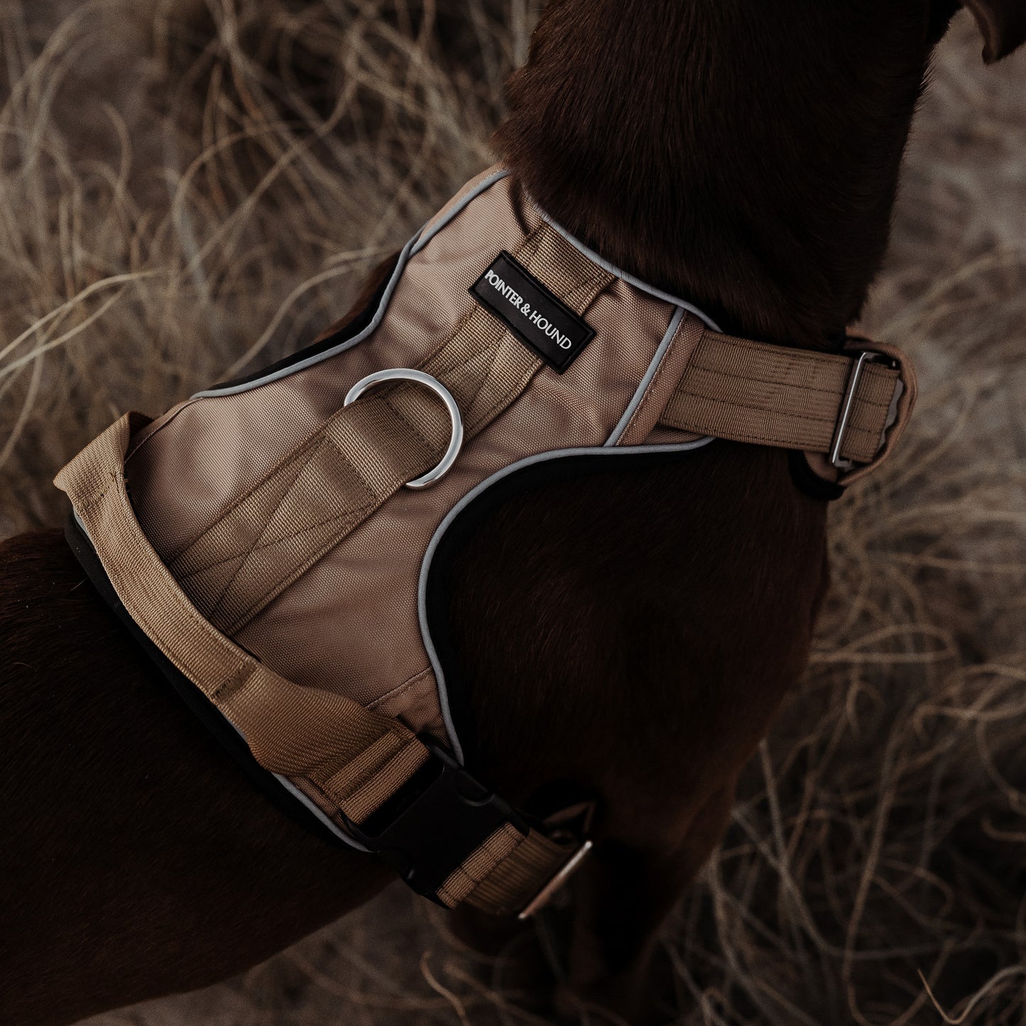 Tactical Harness 2.0 - Tan