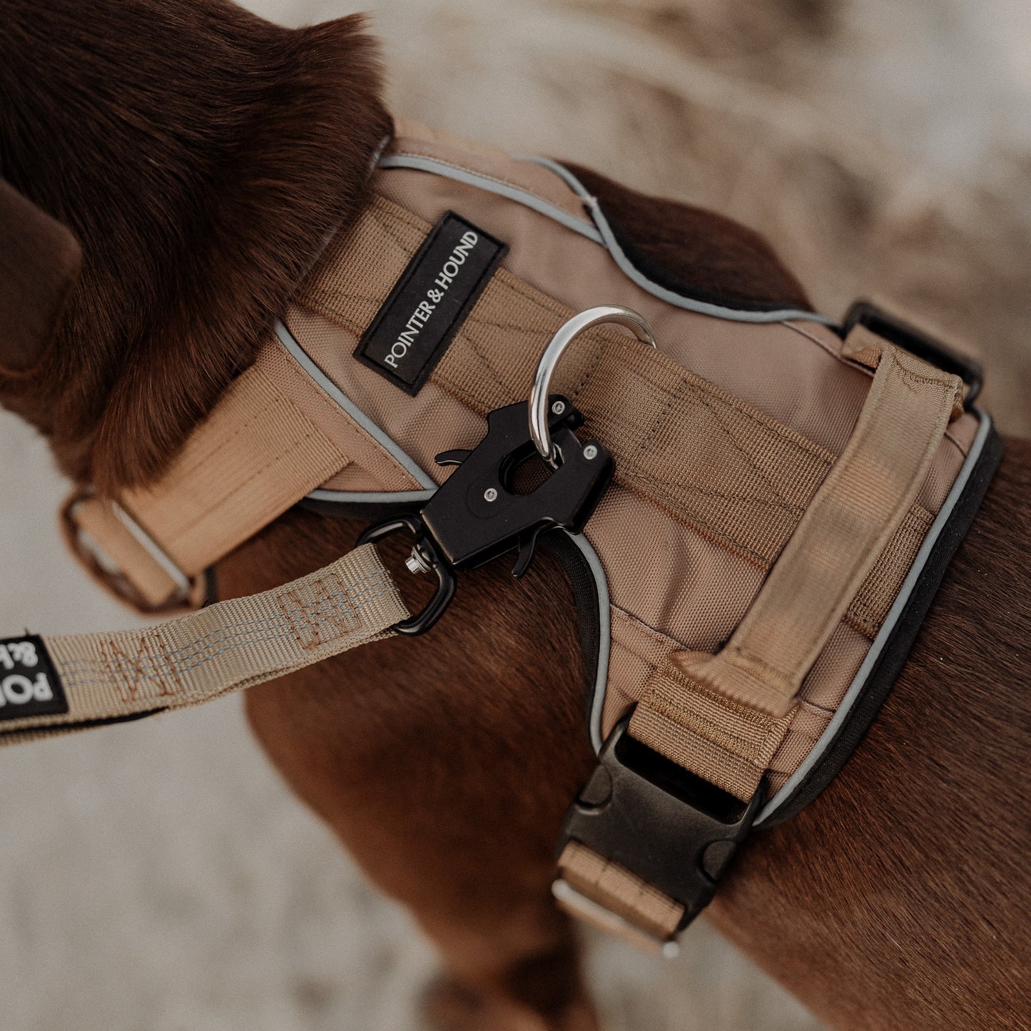 Tactical Harness - Tan