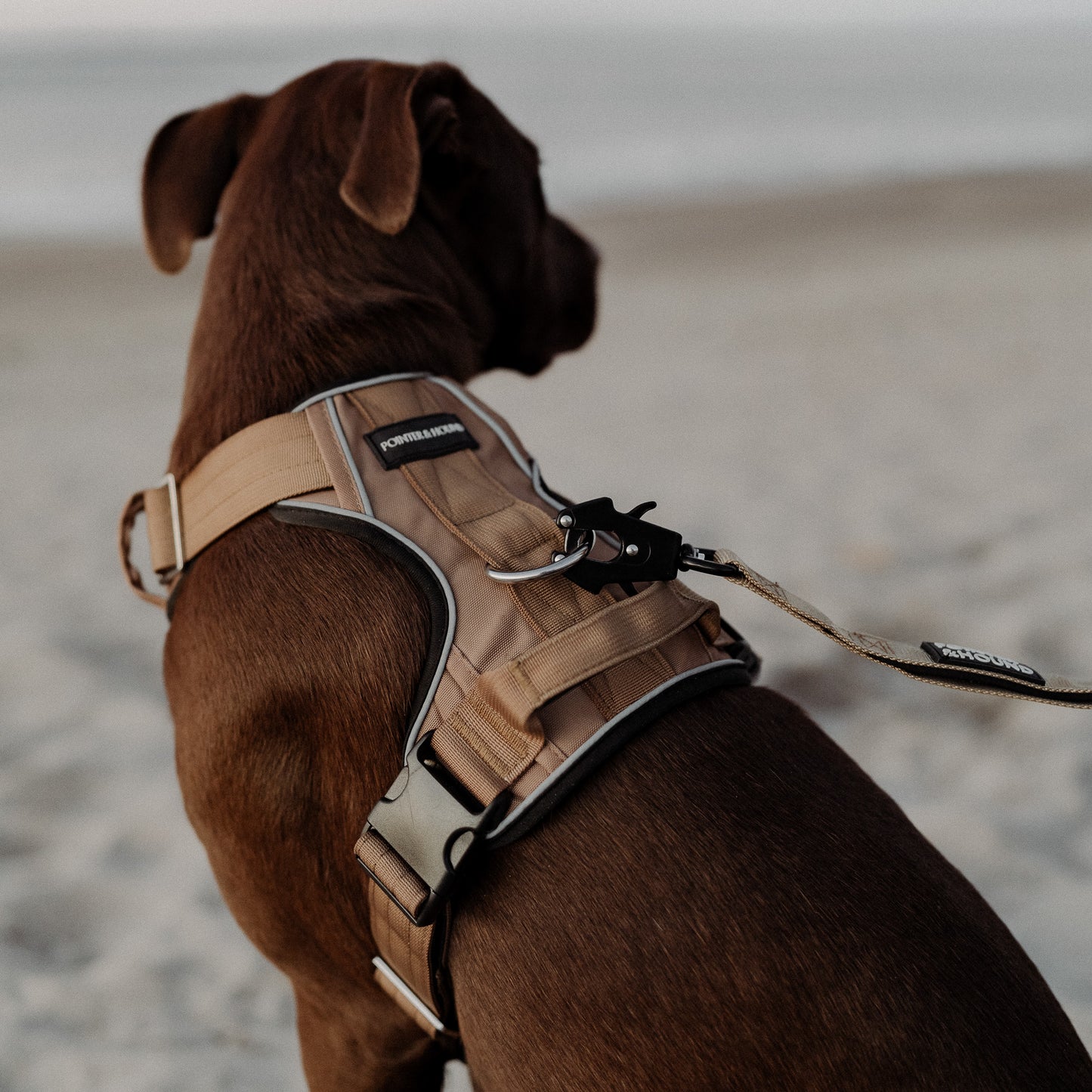 Tactical Harness - Tan