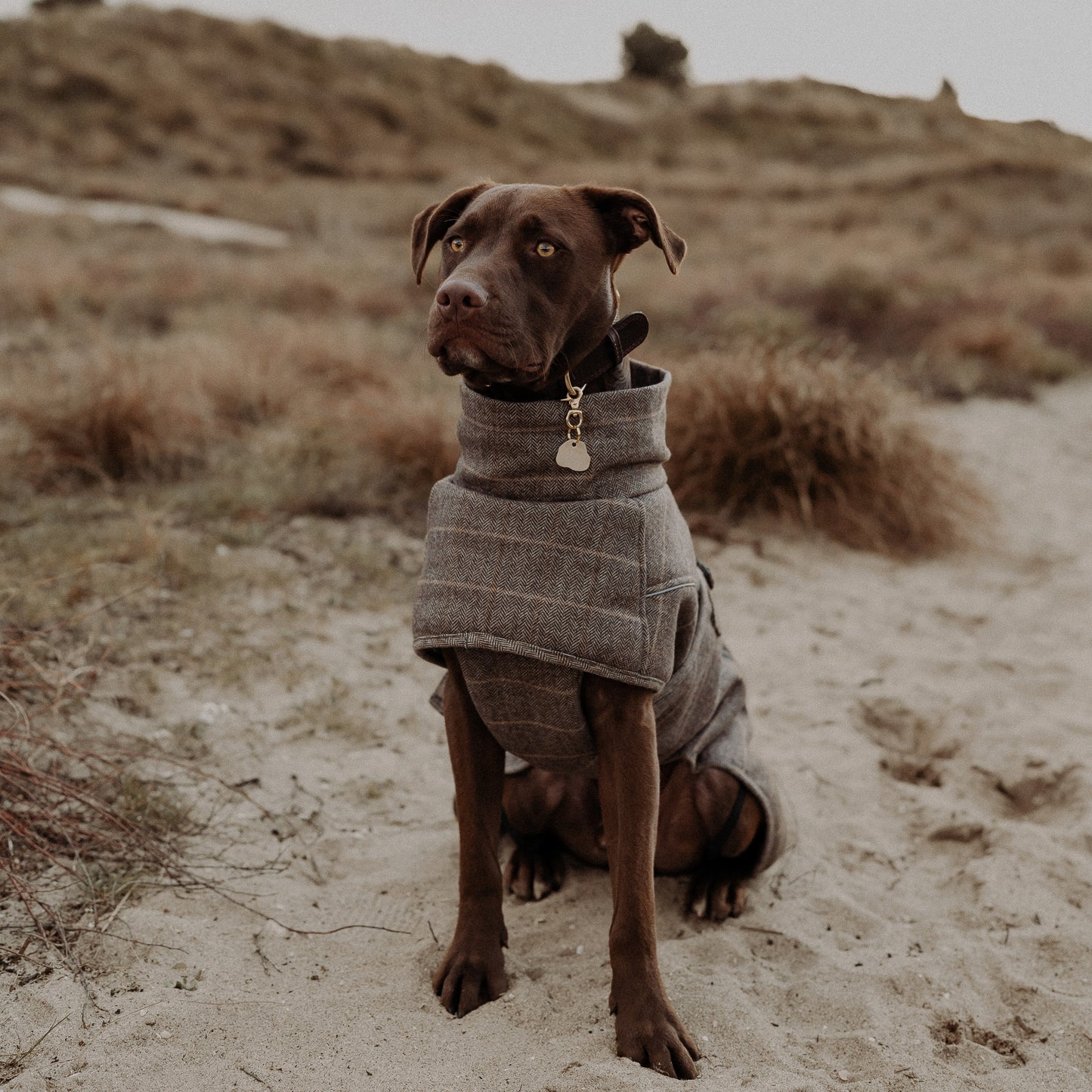 Wool-Blend Coat