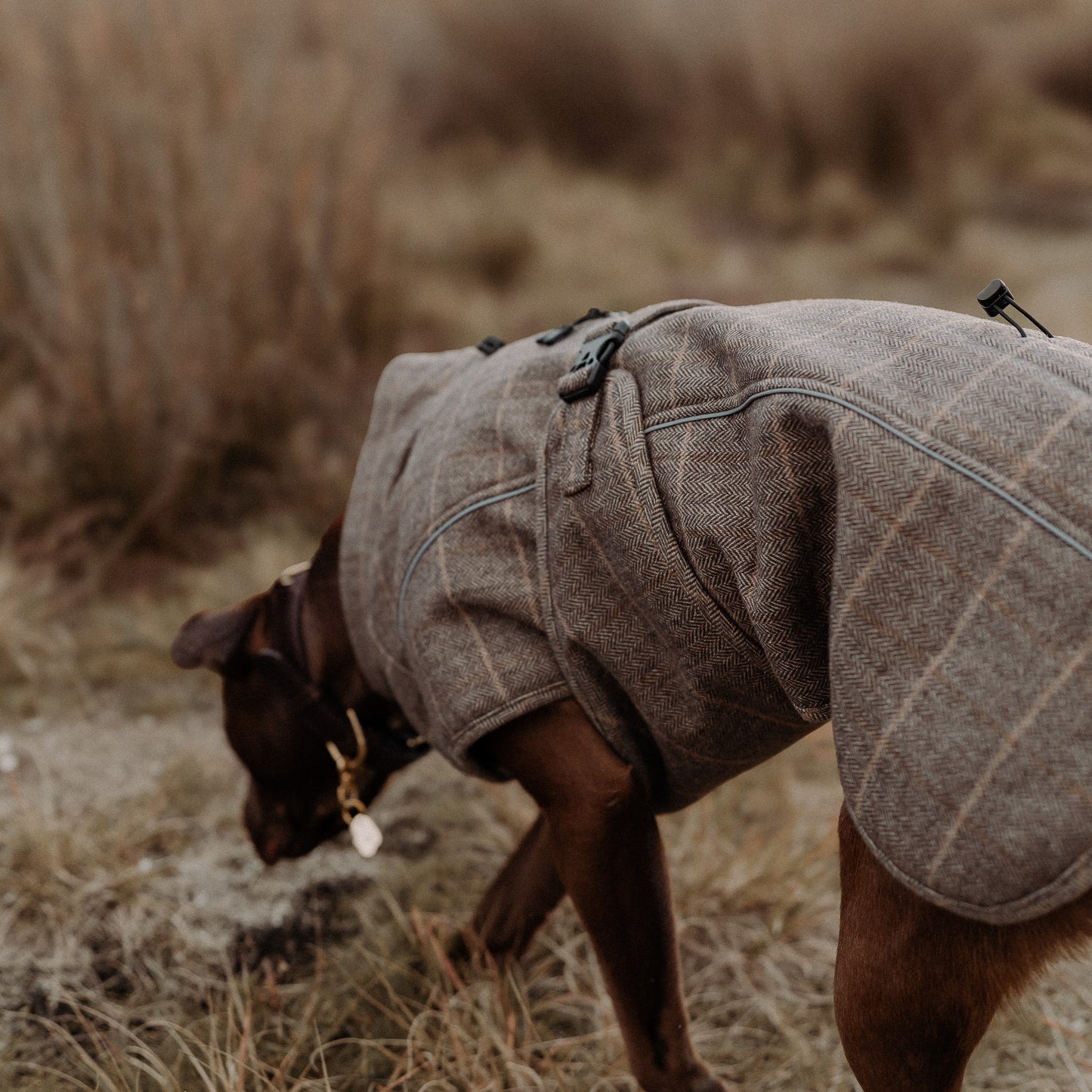 Highland Coat - Brown
