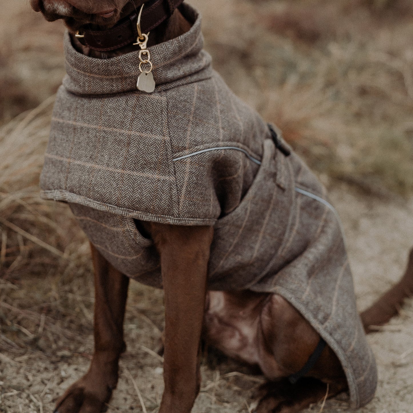 Highland Coat - Brown