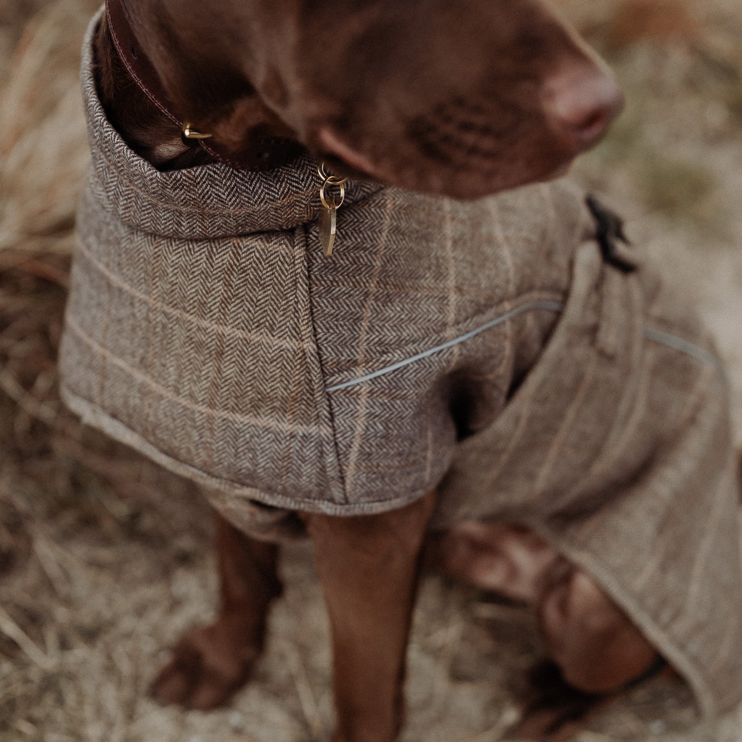 Wool-Blend Coat