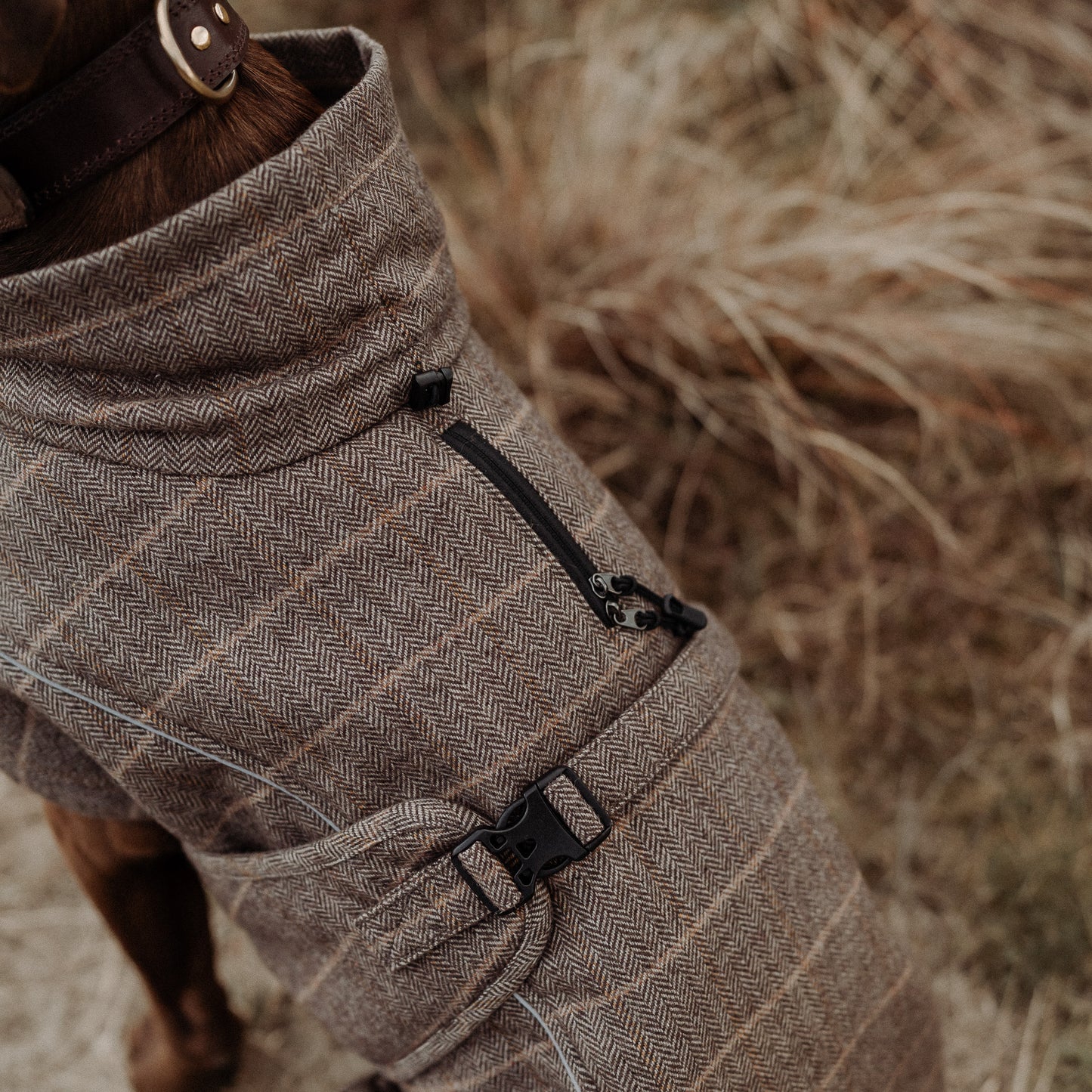 Wool-Blend Coat