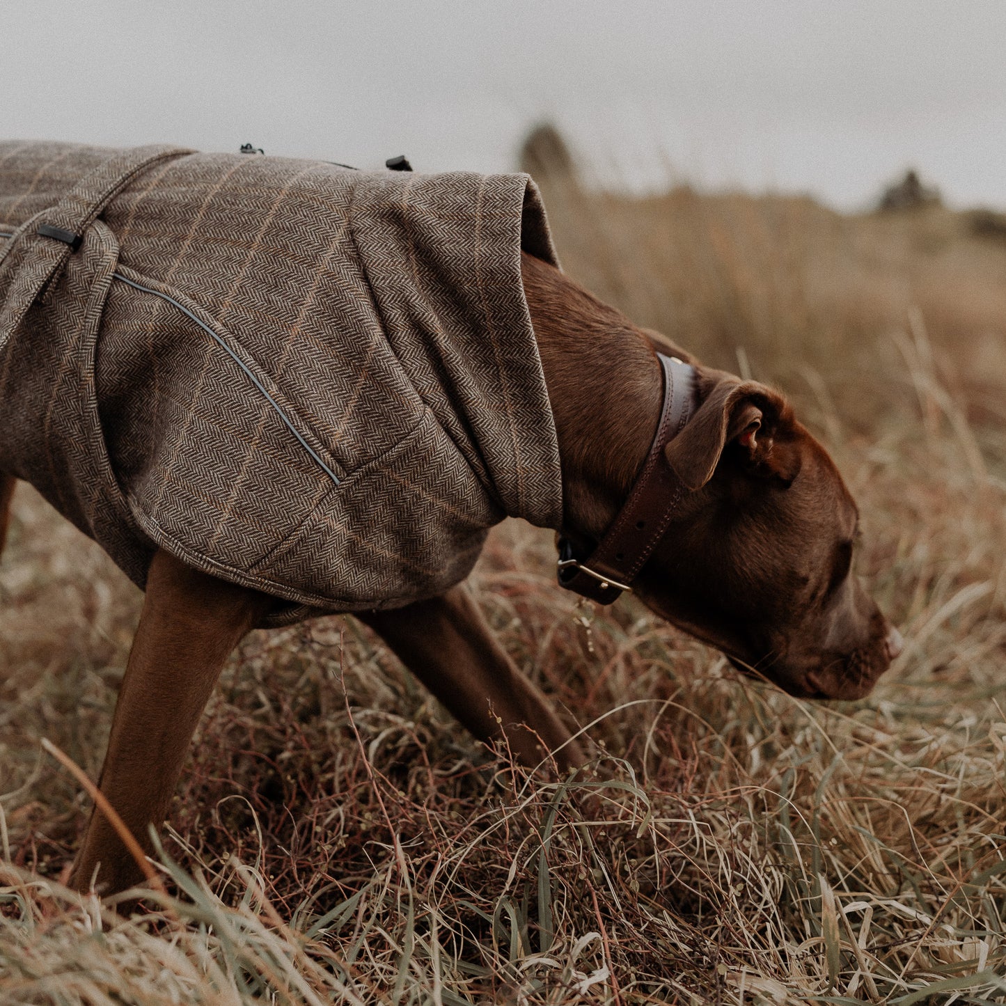 Wool-Blend Coat