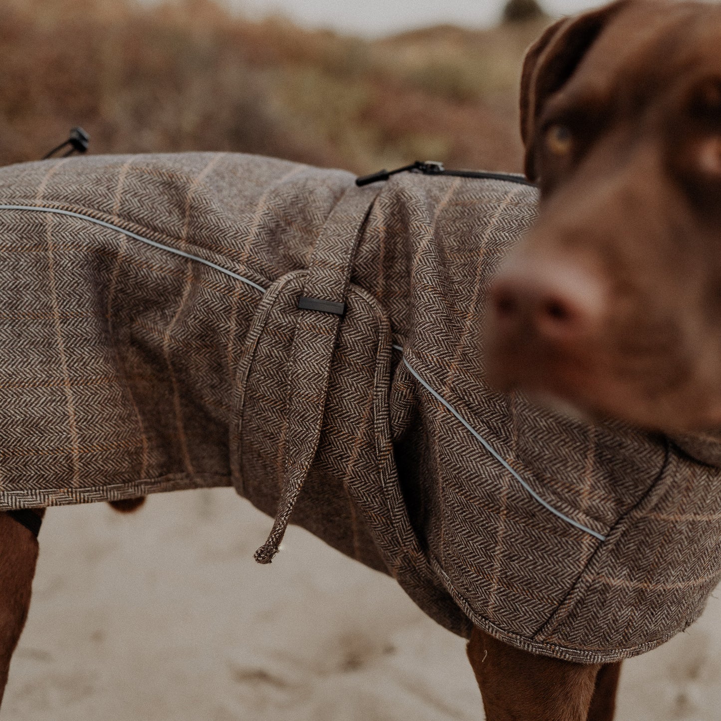 Wool-Blend Coat