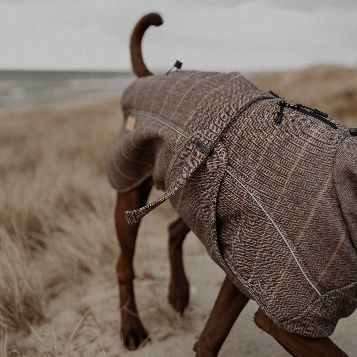 Wool-Blend Coat