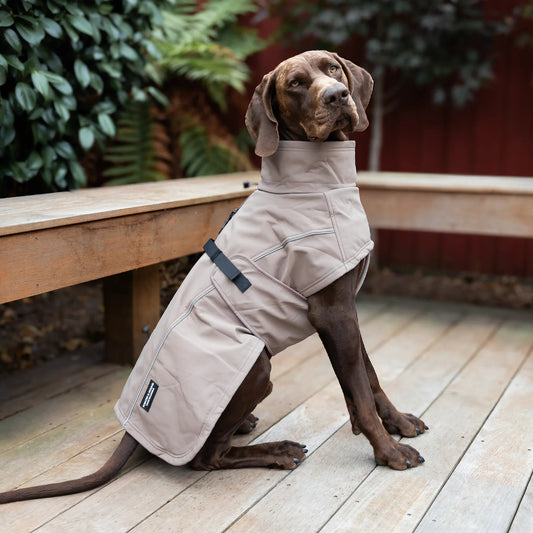 Waterproof Jacket - Mushroom