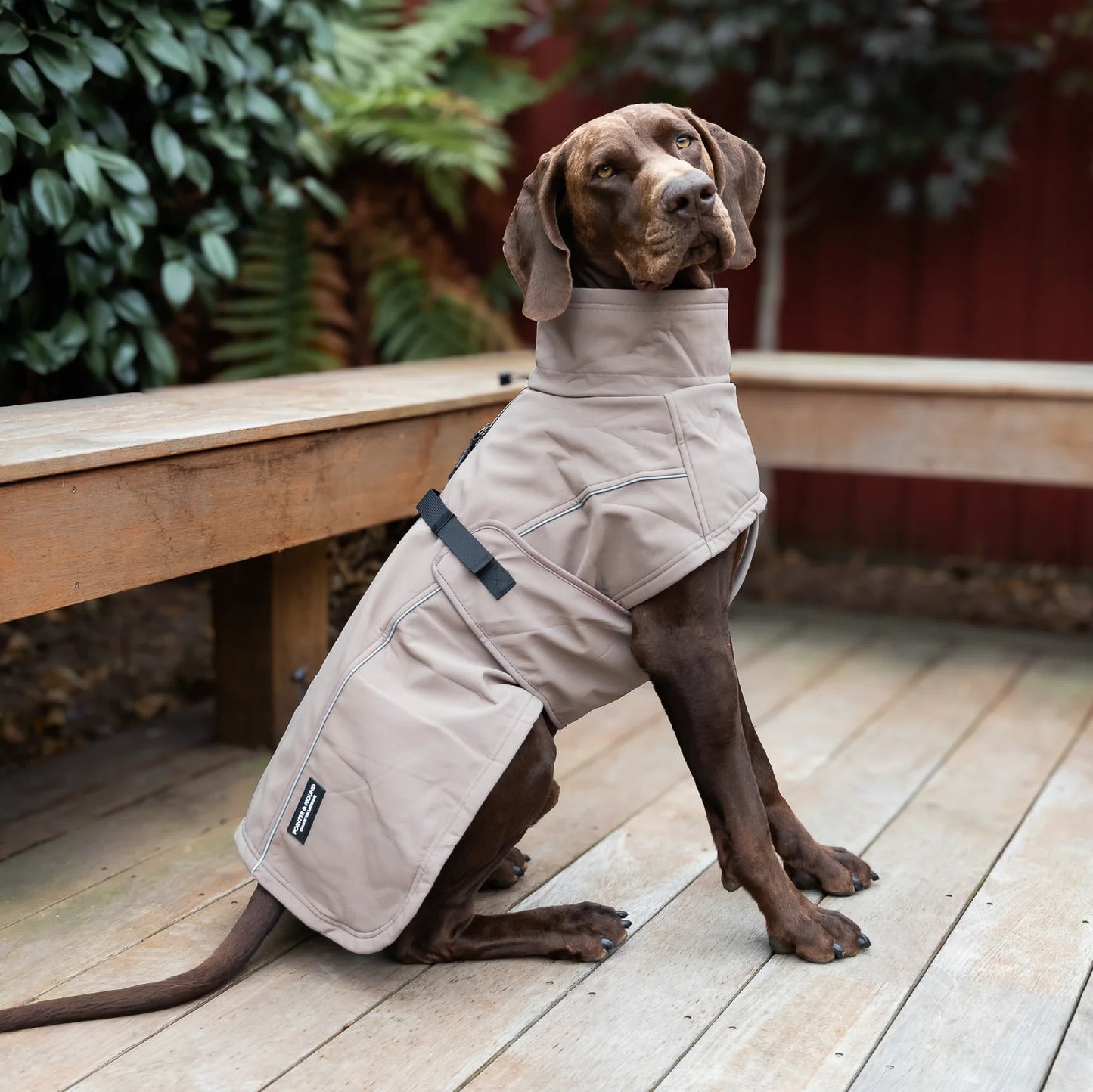 Waterproof Jacket - Mushroom