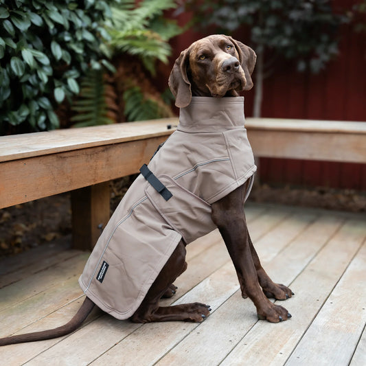 Waterproof Jacket - Mushroom