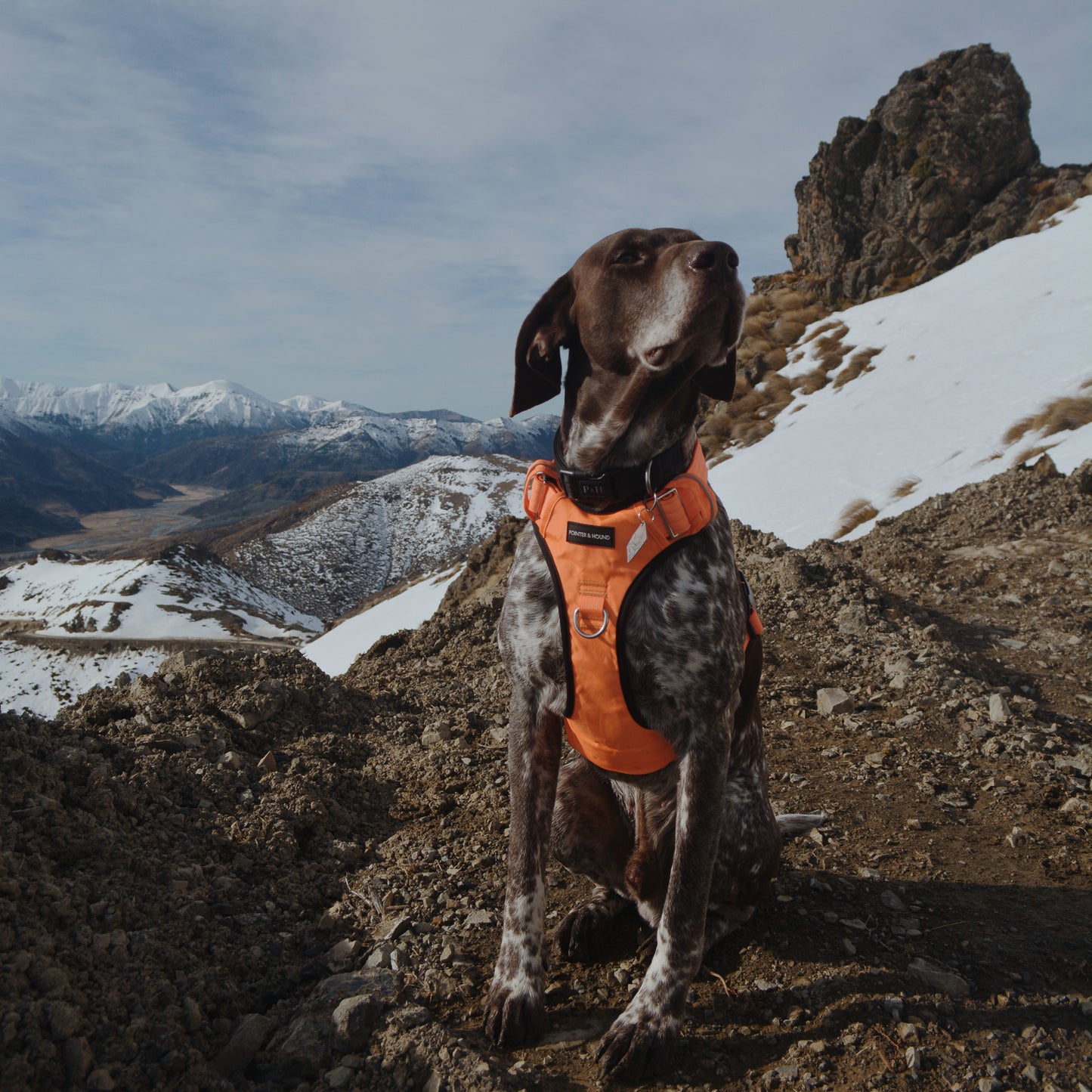 Tactical Harness - Blaze Orange
