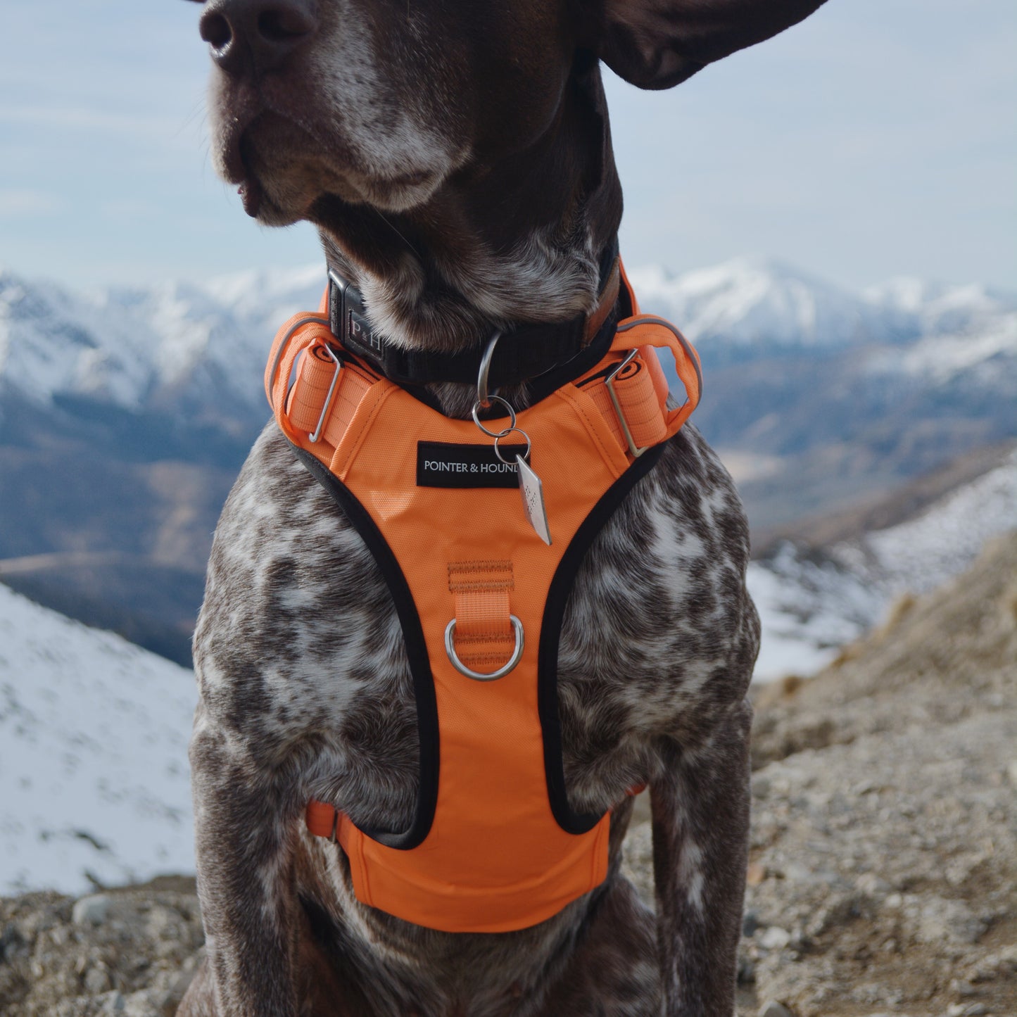 Tactical Harness - Blaze Orange