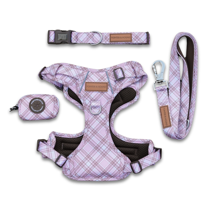 Signature Walk Set