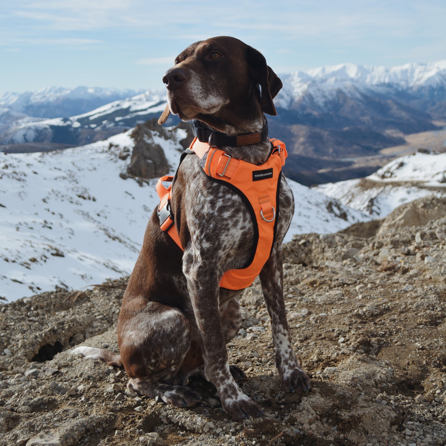 Tactical Harness - Blaze Orange