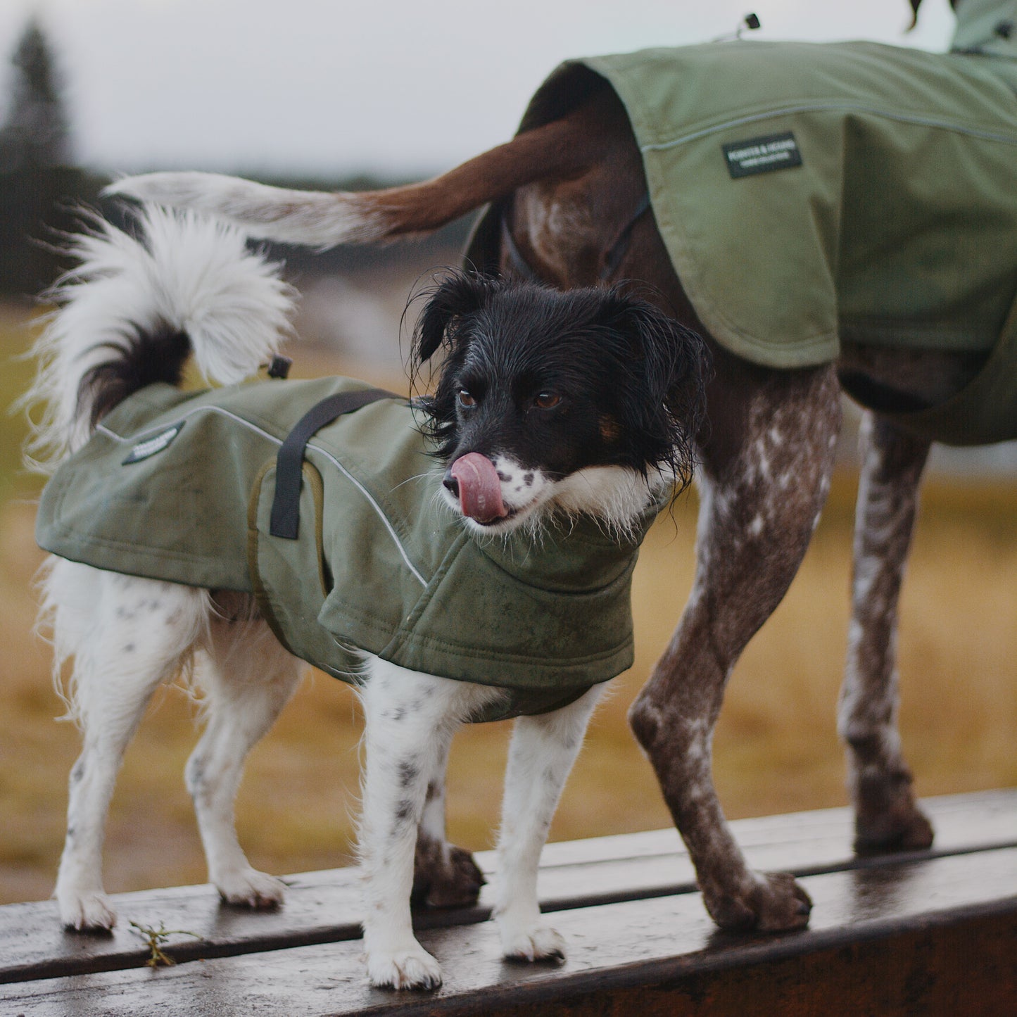 Waterproof Jacket - Green