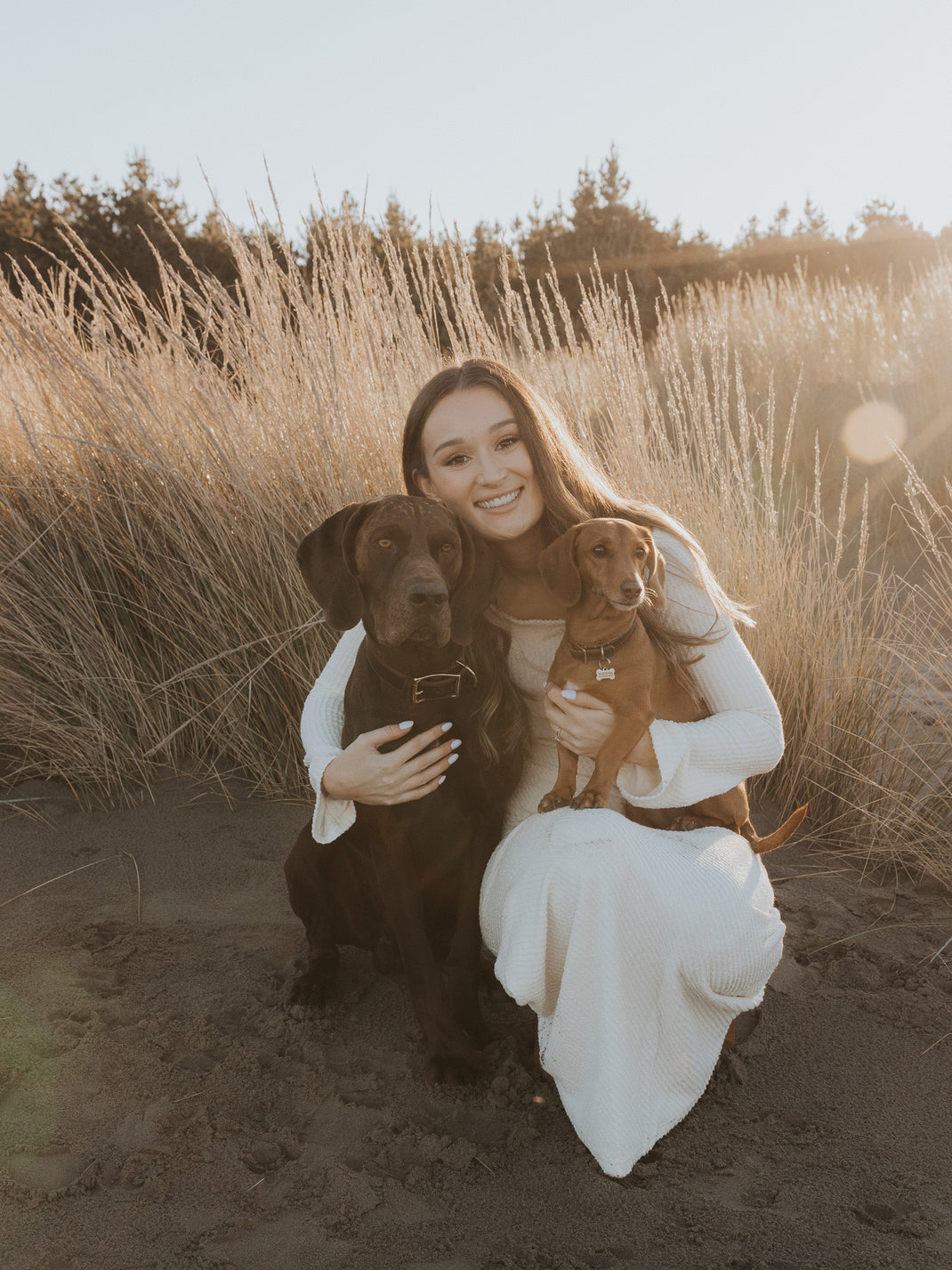 About Us – Pointer & Hound