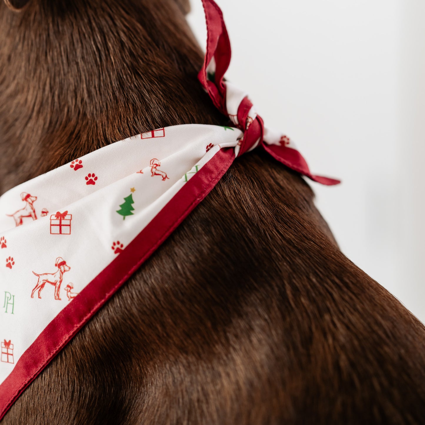 Christmas Bandana
