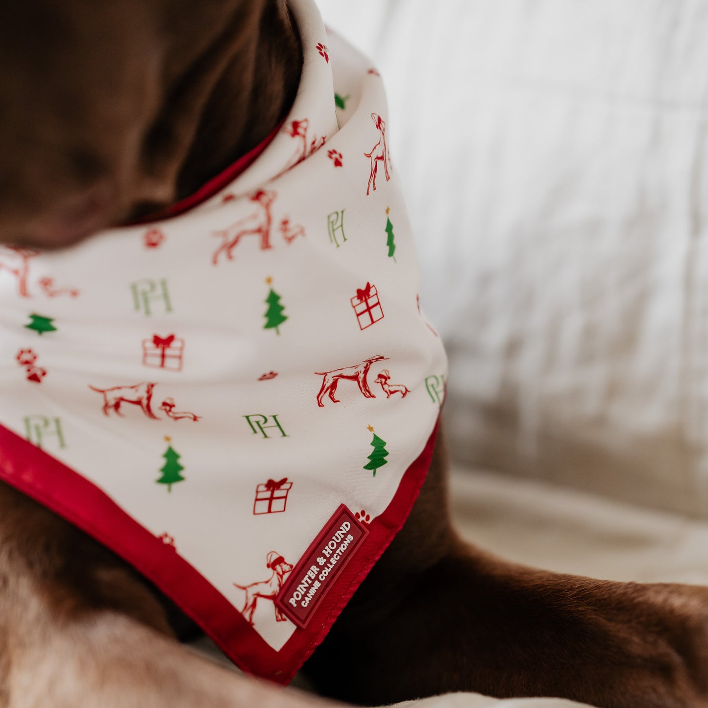 Christmas Bandana