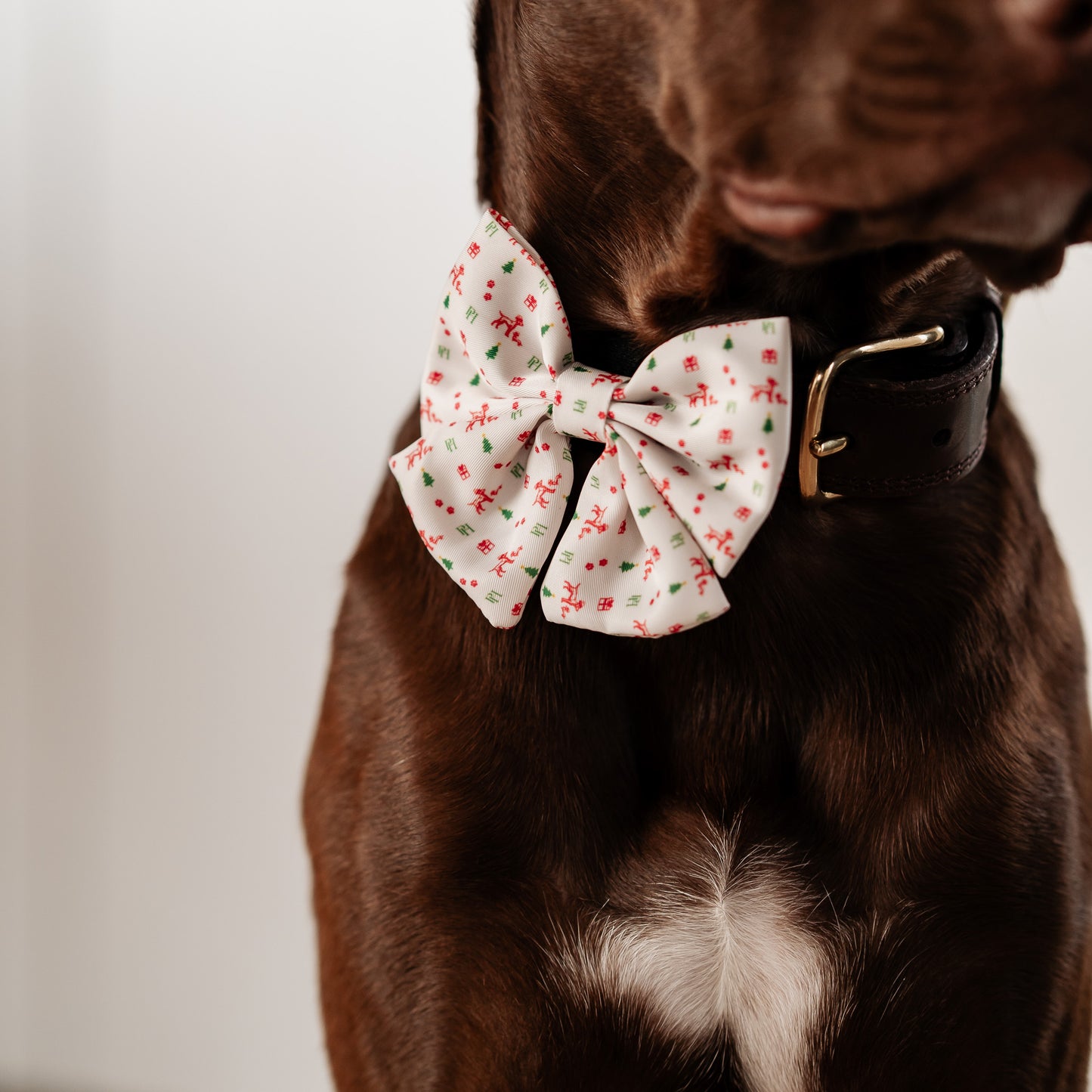 Christmas Bow Tie