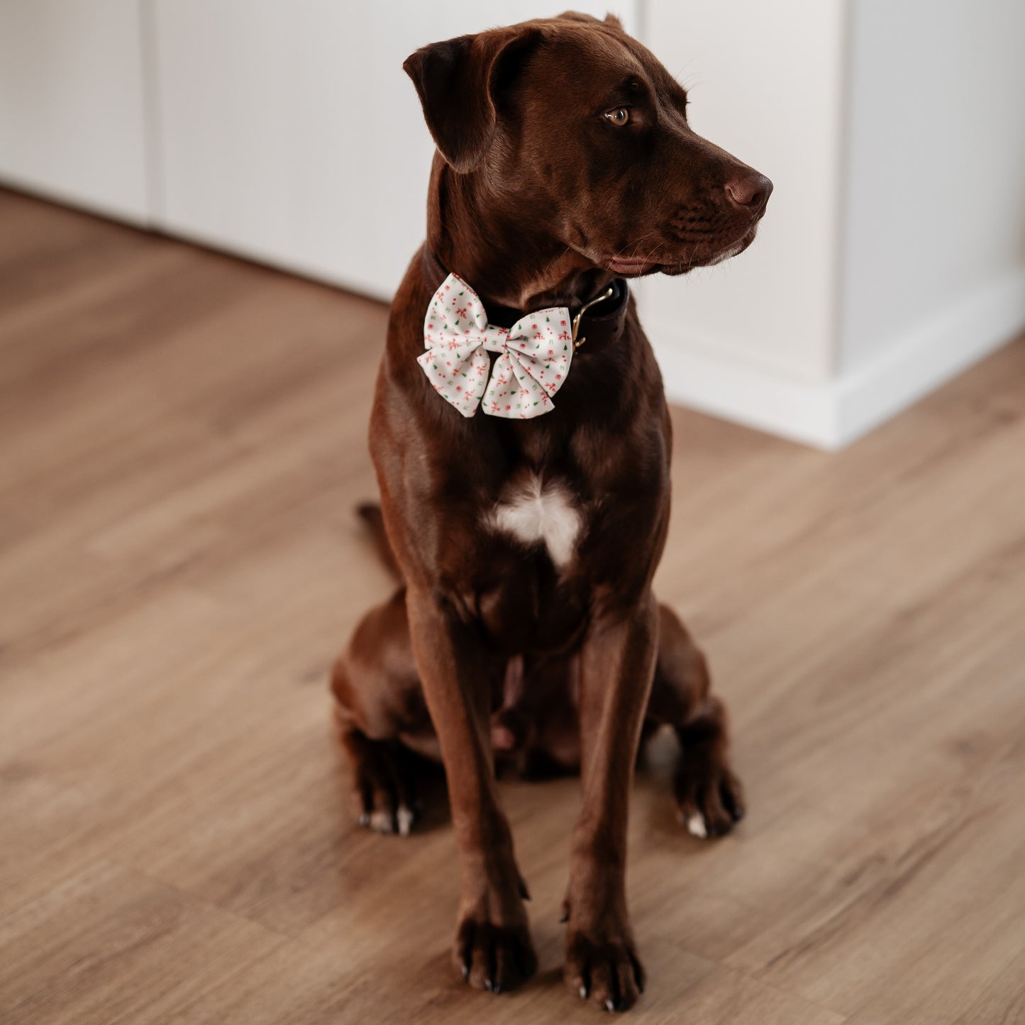 Christmas Bow Tie