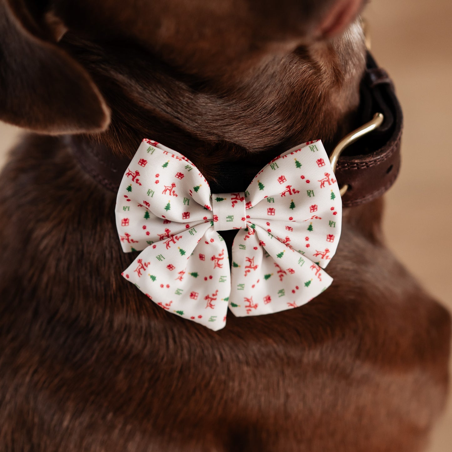 Christmas Bow Tie