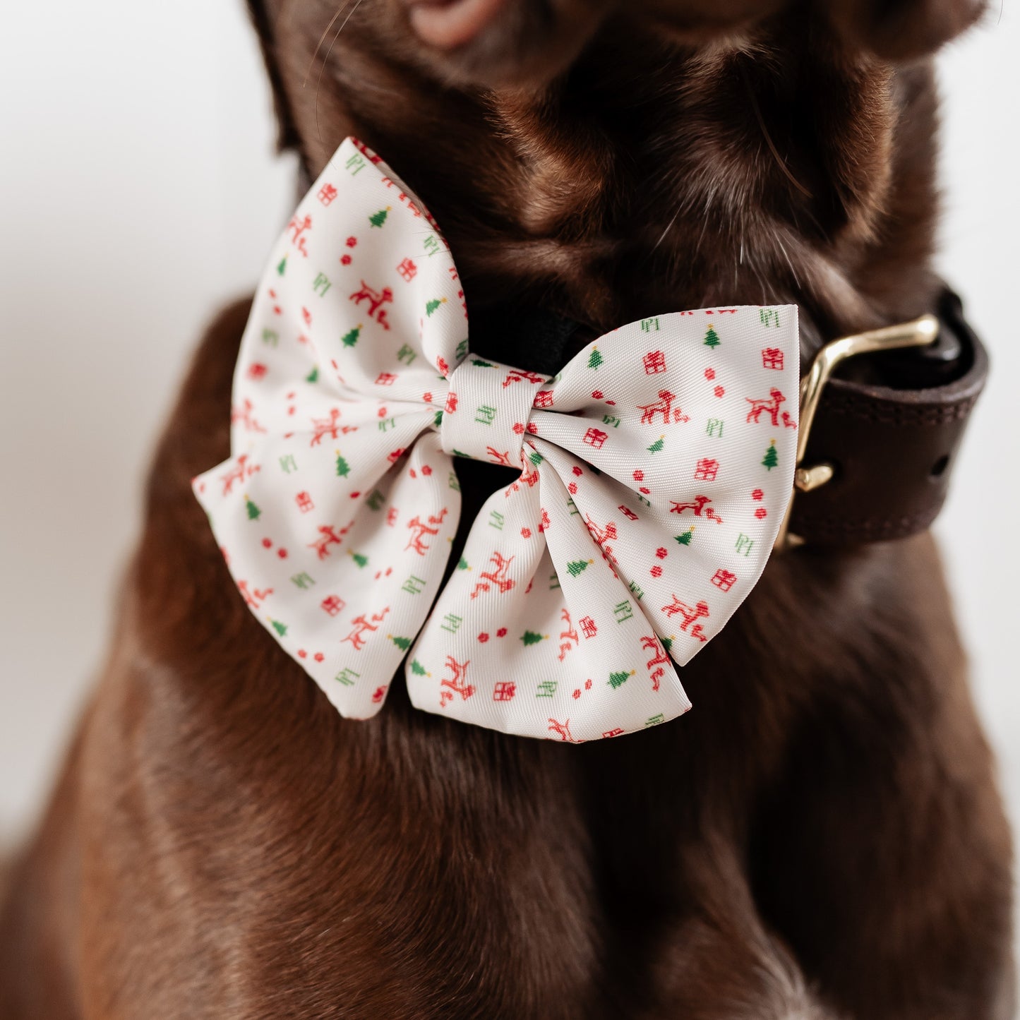 Christmas Bow Tie