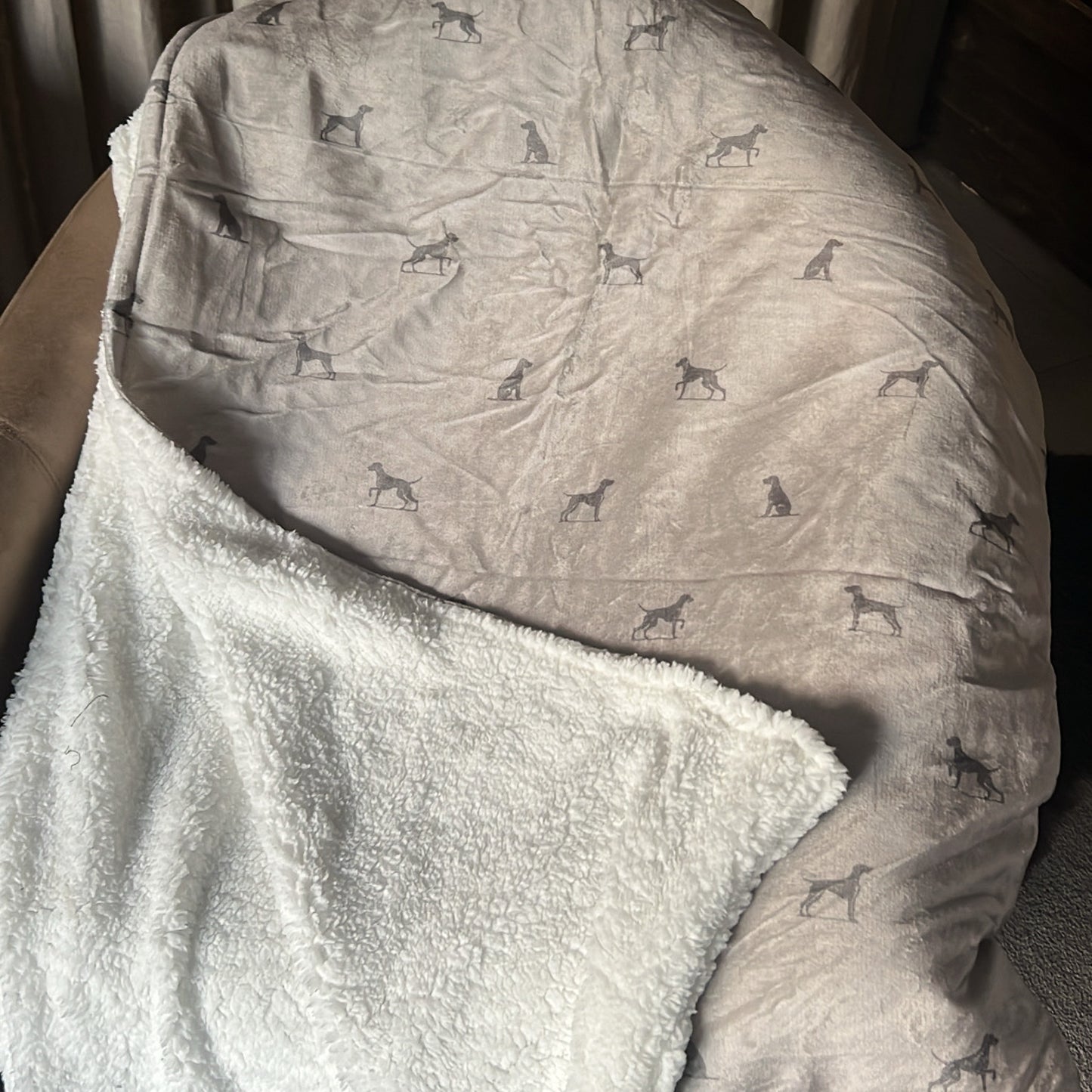 Luxury Blanket - Pointer Print