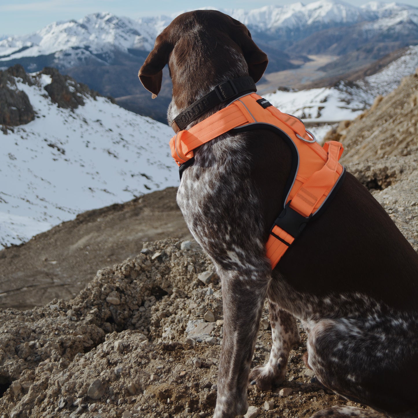 Tactical Harness - Blaze Orange
