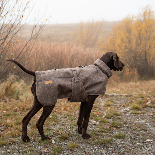 Highland Coat - Brown