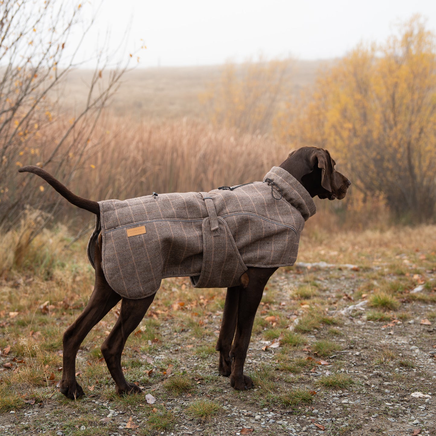 Highland Coat - Brown