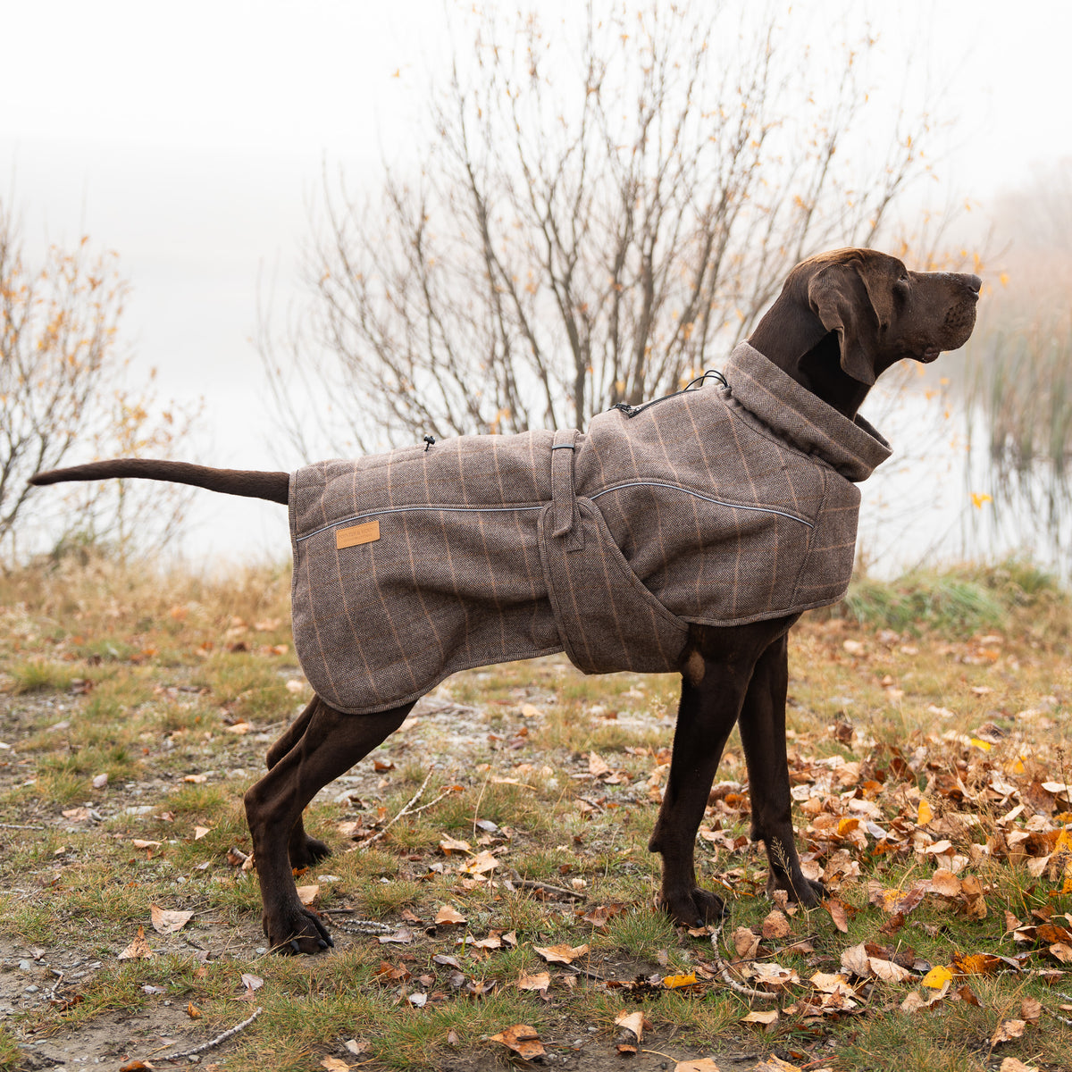 Highland Coat - Brown