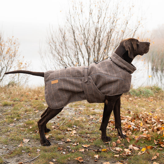 Highland Coat - Brown