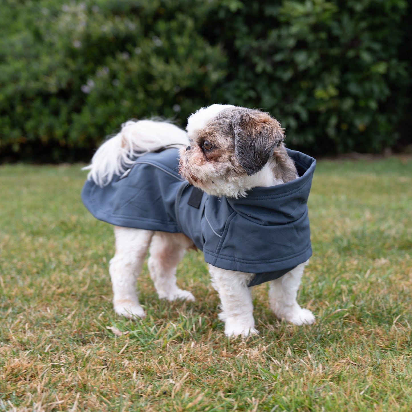 Waterproof Jacket - Slate Blue