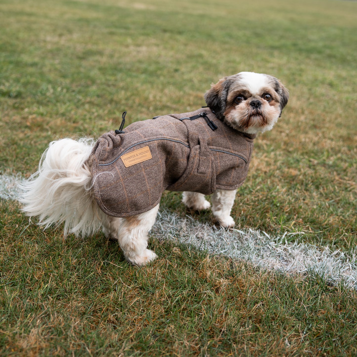 Highland Coat - Brown