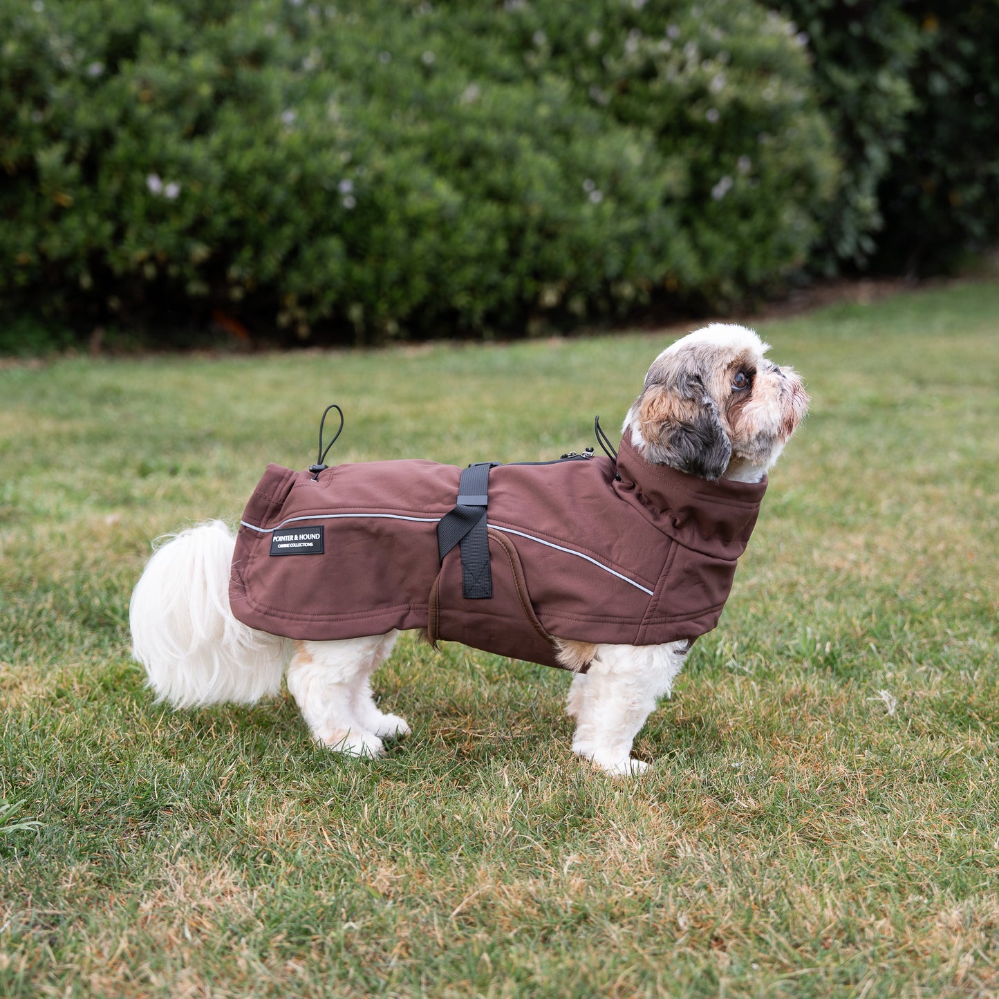 Waterproof Jacket - Maroon Brown