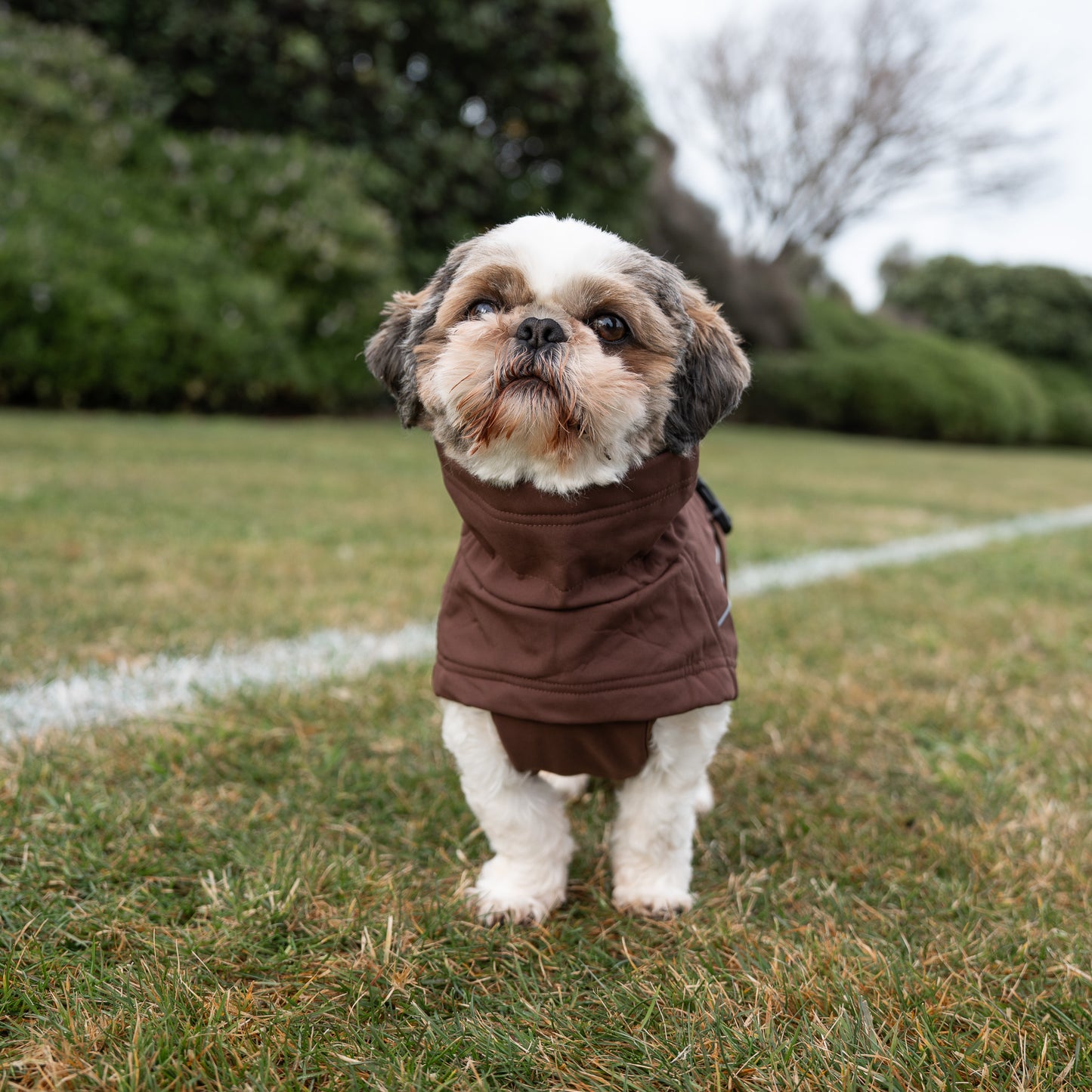 Waterproof Jacket - Maroon Brown