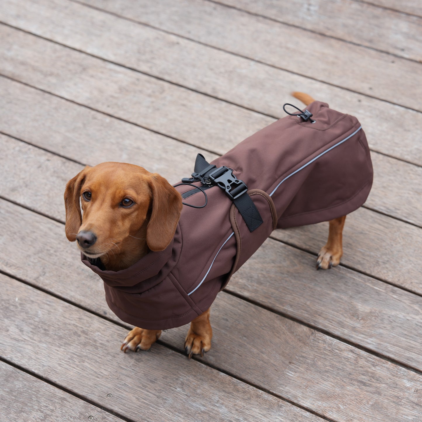 Waterproof Jacket - Maroon