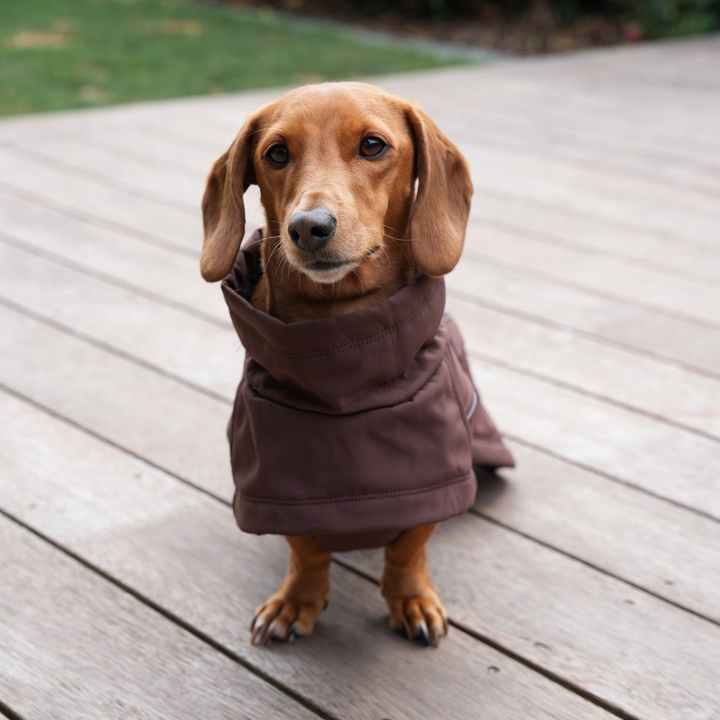 Waterproof Jacket - Maroon