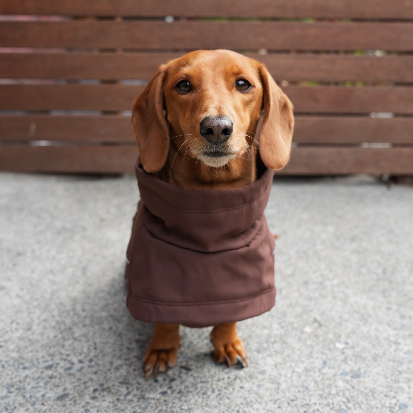 Waterproof Jacket - Maroon